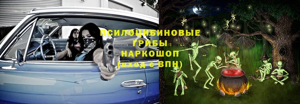 молекула духа Абинск